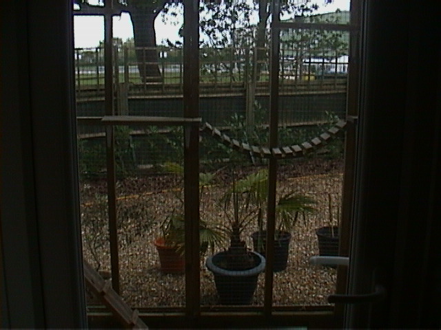 DSC00055