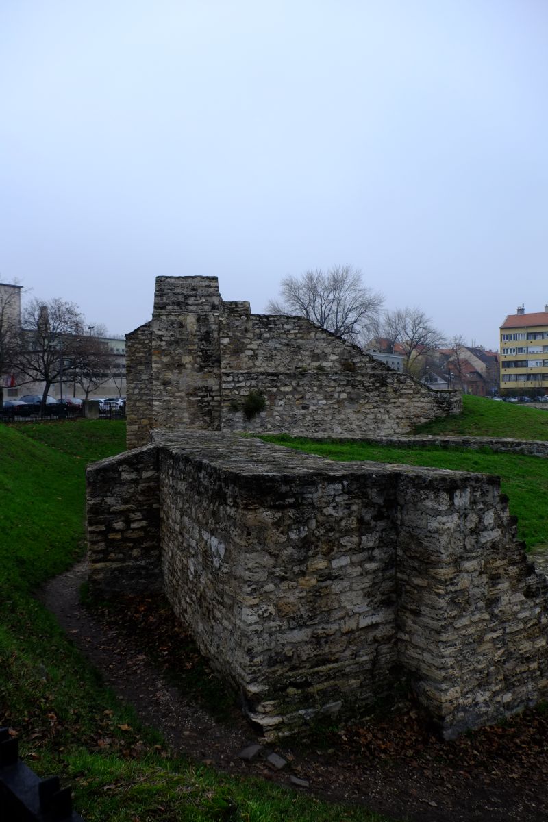 DSCF7908