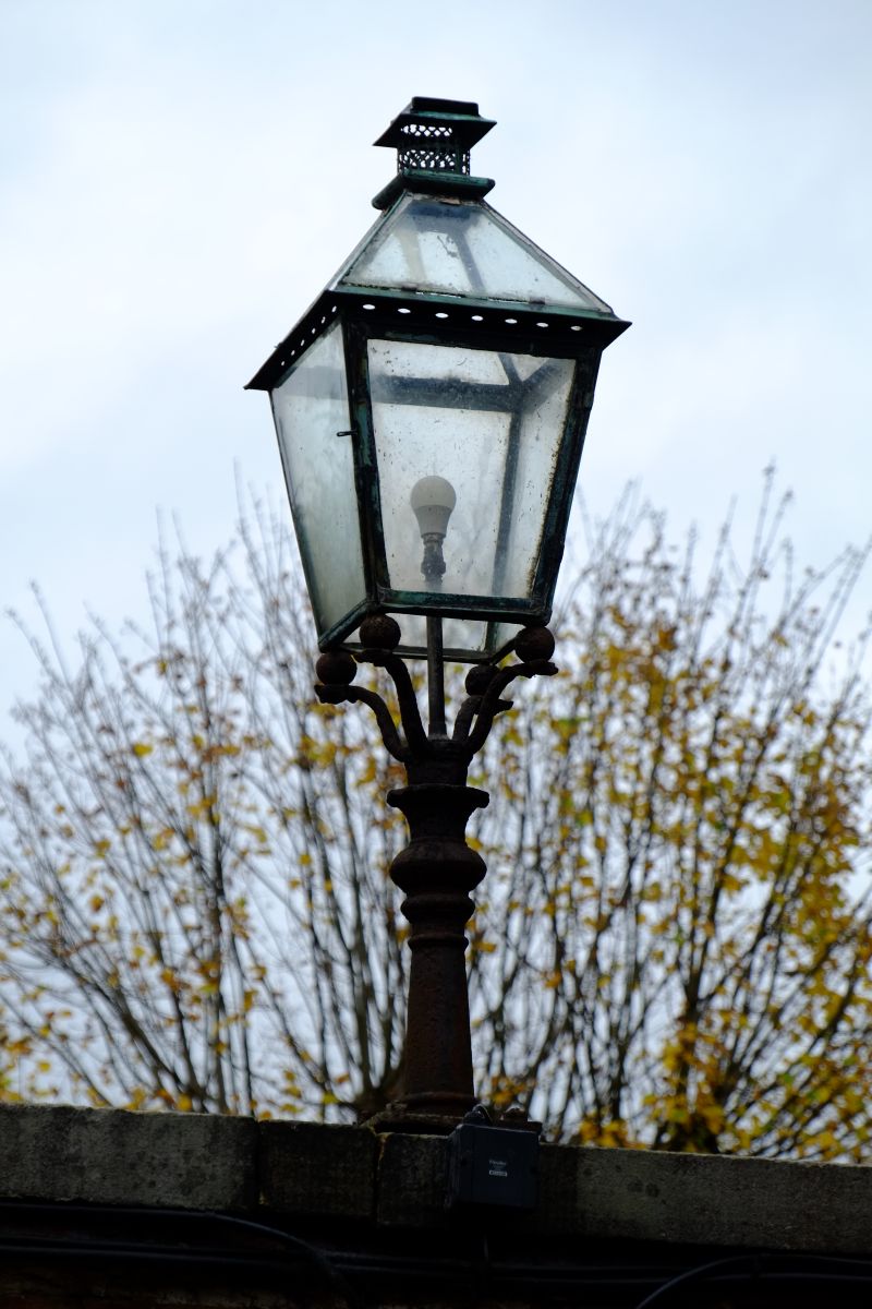 DSCF7864