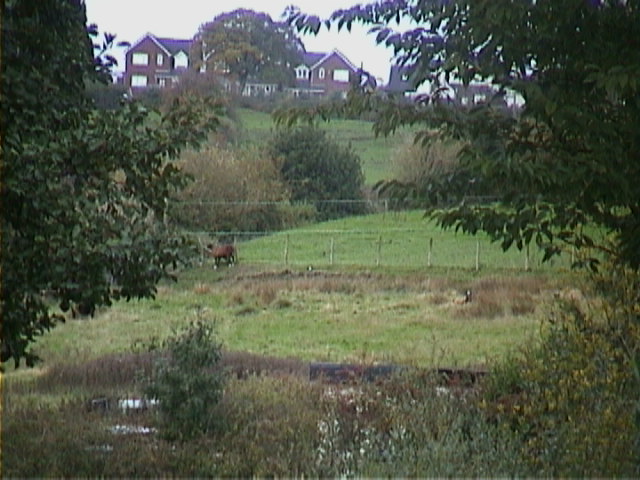 DSC00036