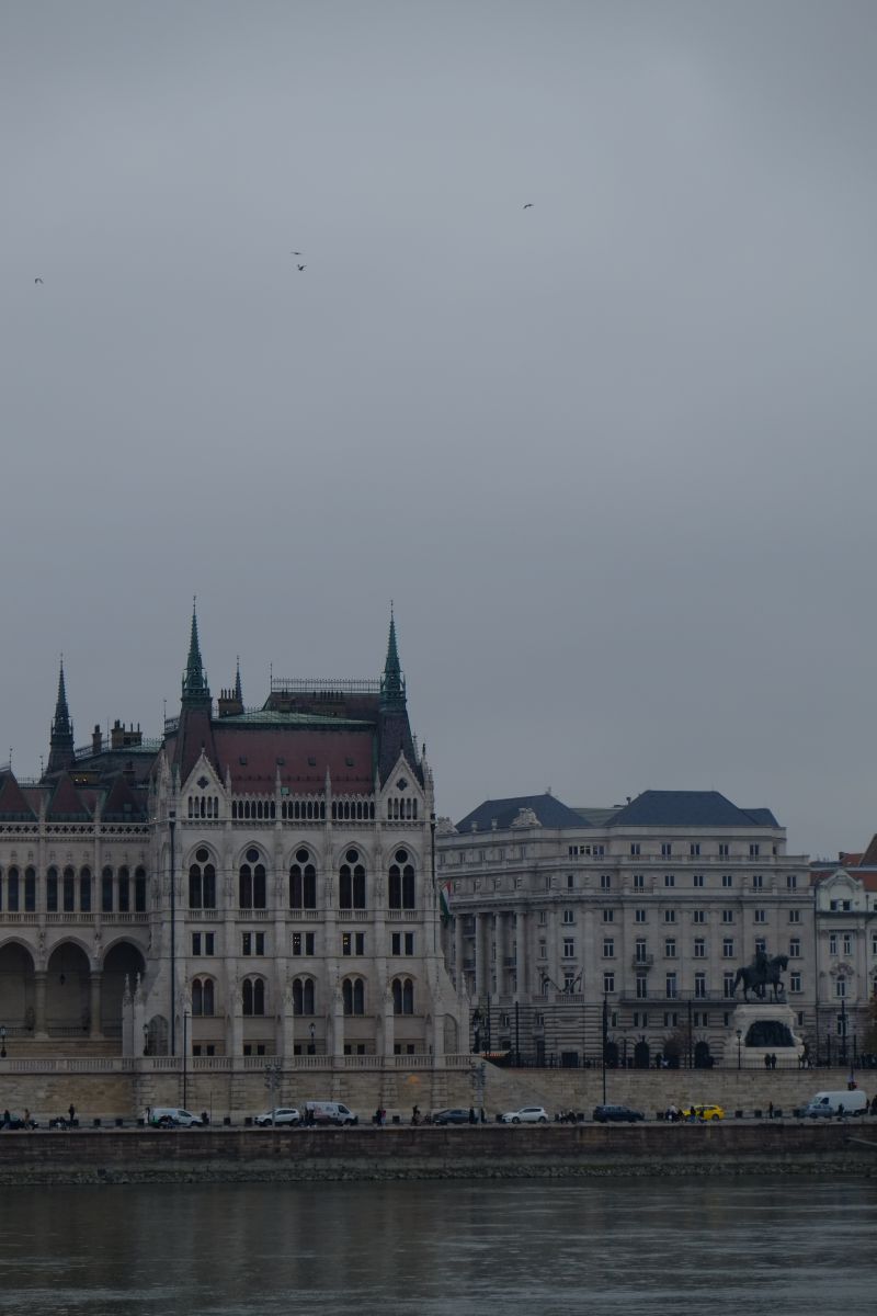DSCF8131