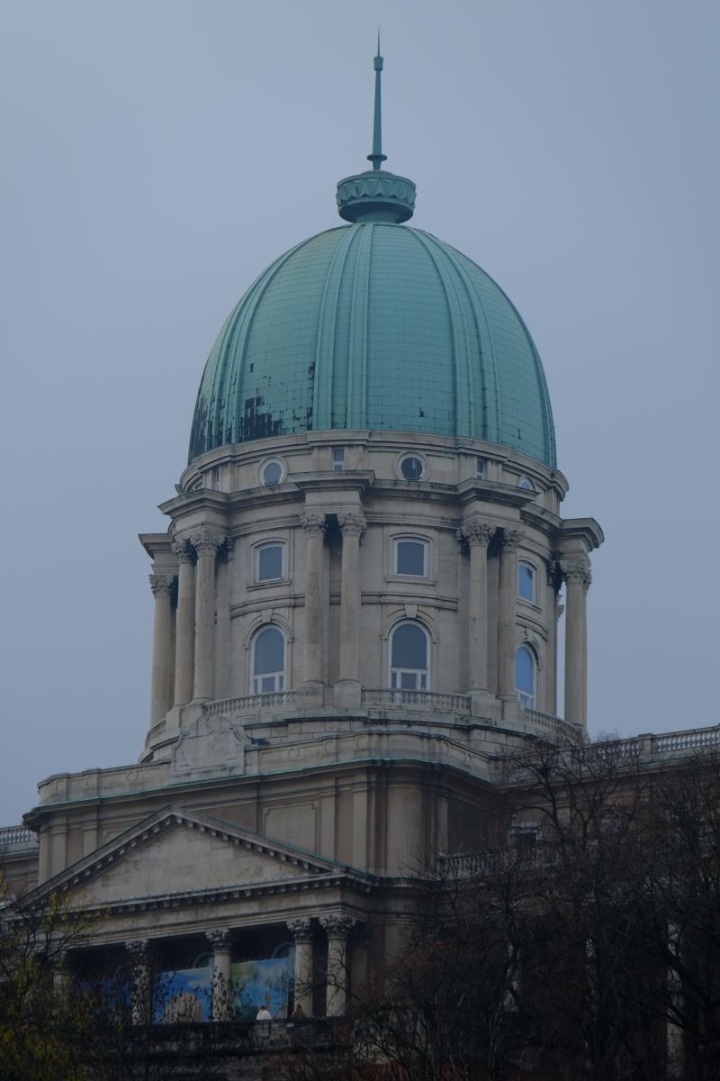 DSCF8091