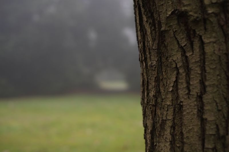 DSCF7328