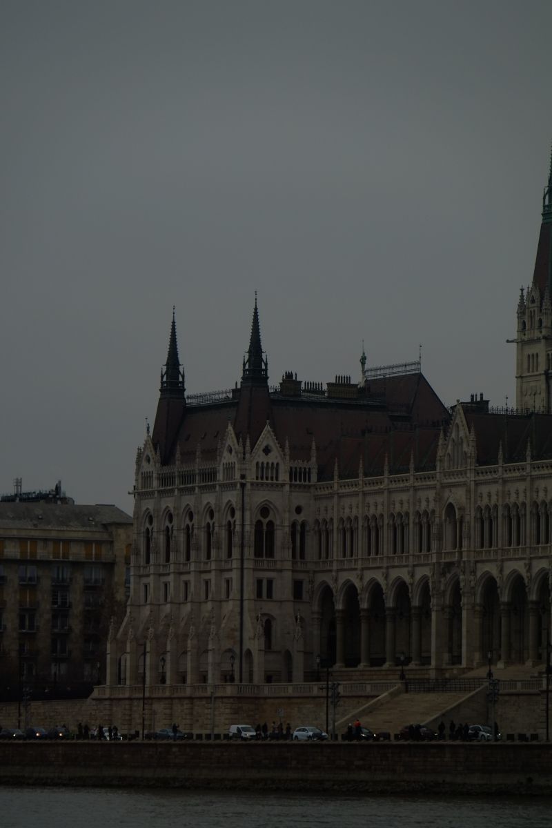 DSCF8404