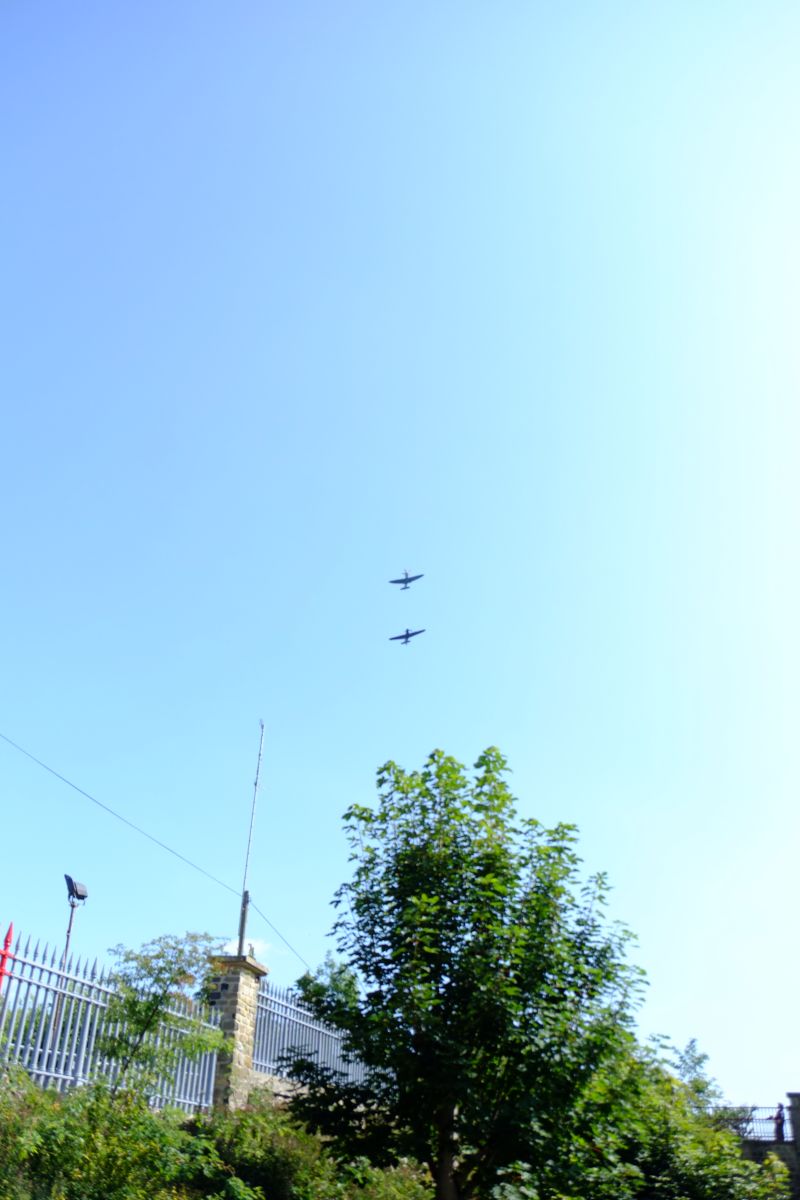 DSCF7771