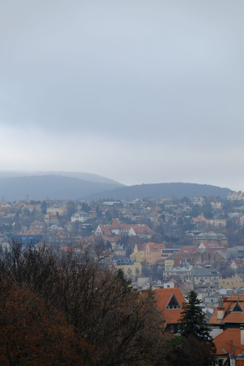 DSCF8217