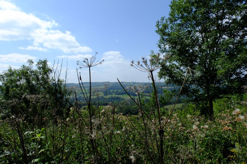 DSCF7719