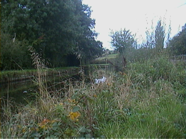 DSC00035