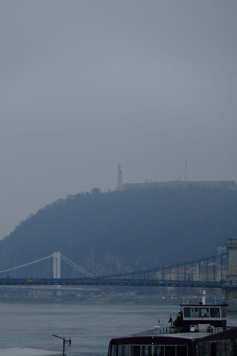 DSCF8135