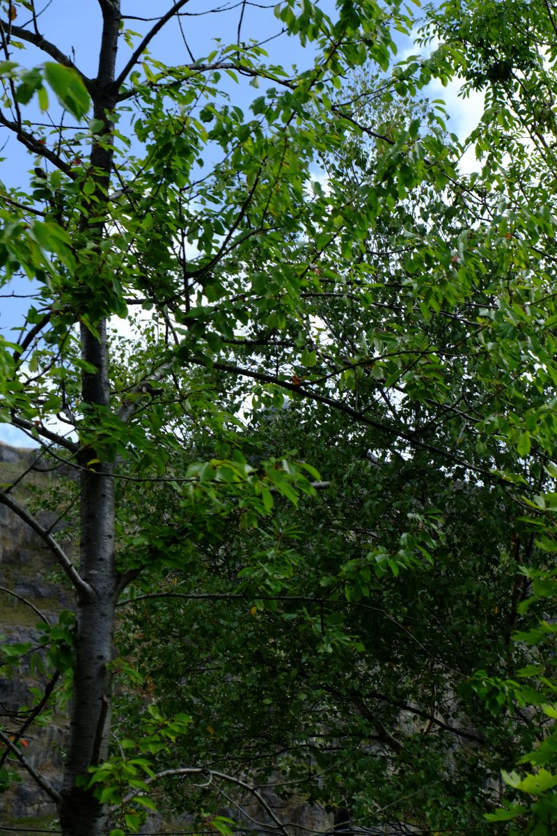 DSCF7643