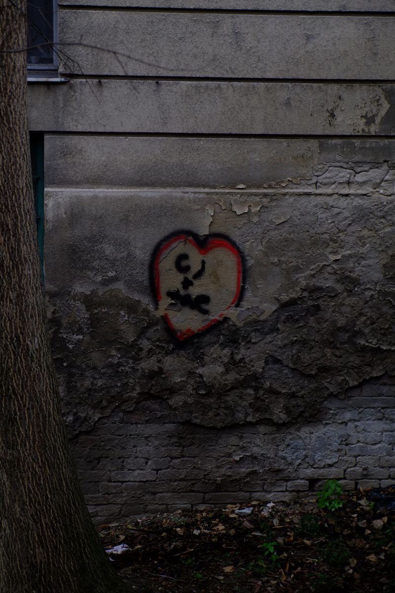 DSCF7882