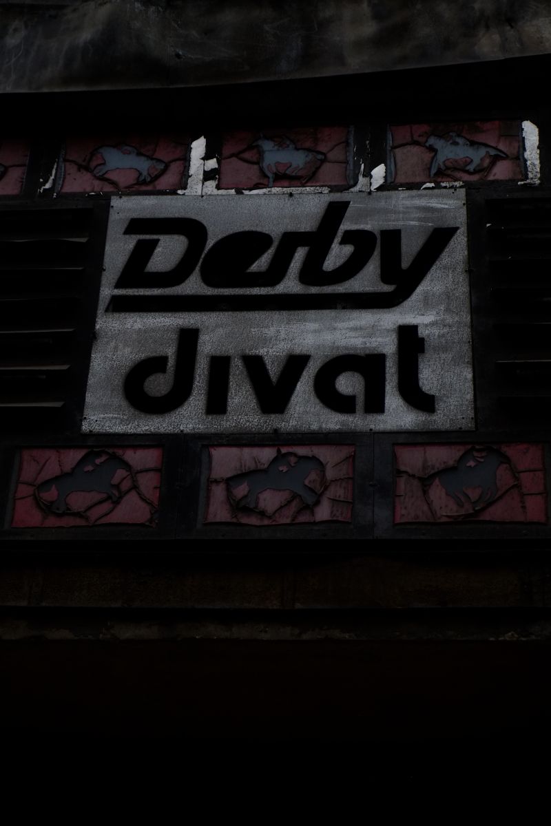DSCF8443