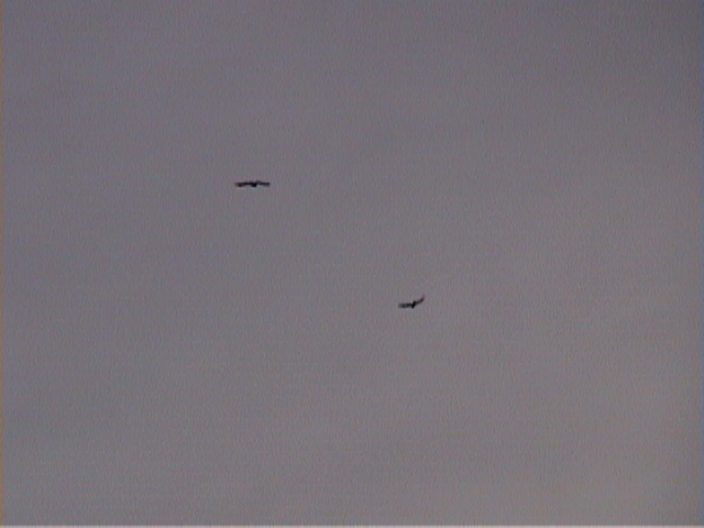 DSC00048