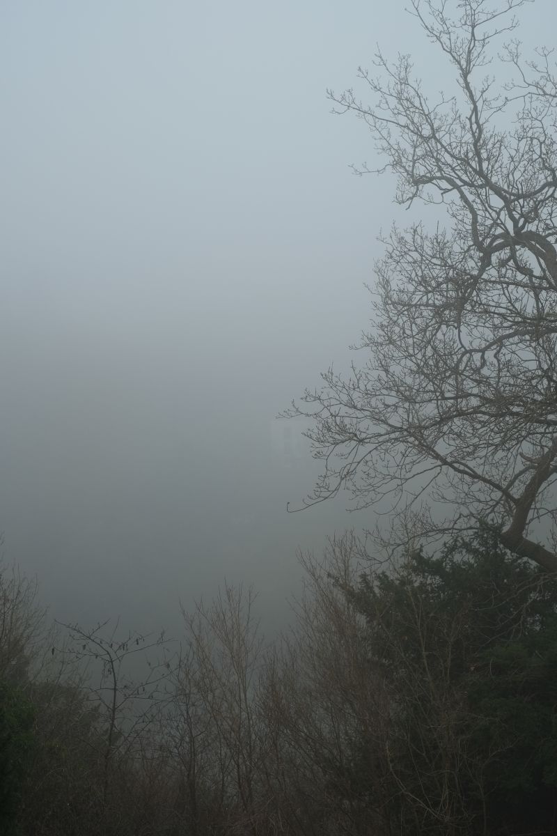 DSCF7296
