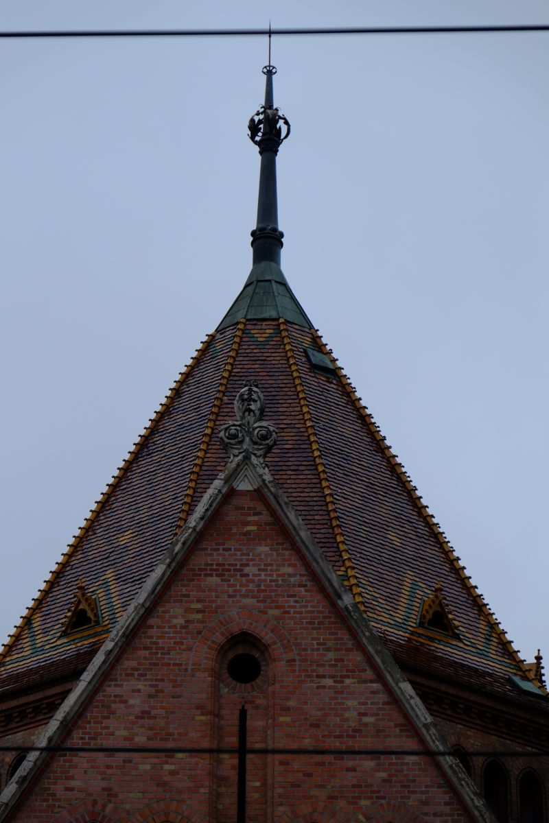 DSCF8106