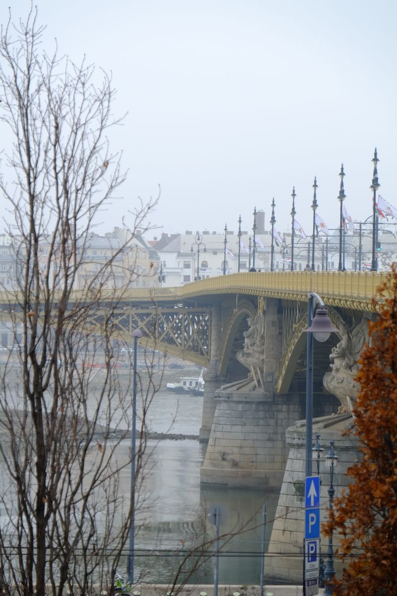 DSCF7938