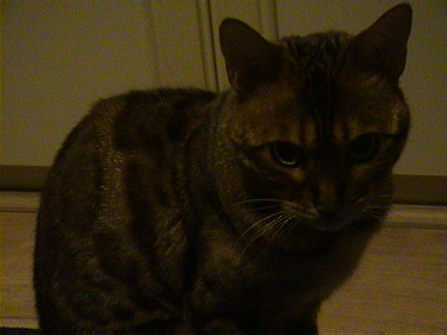 DSC00080