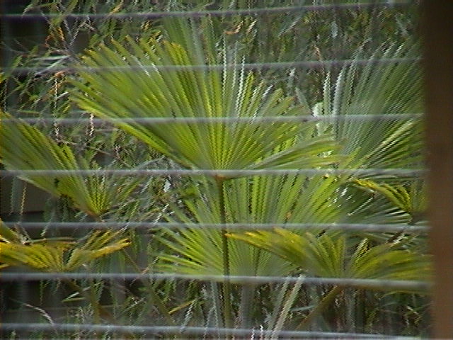DSC00106