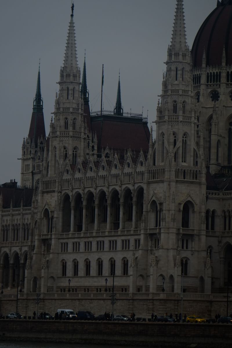 DSCF8406