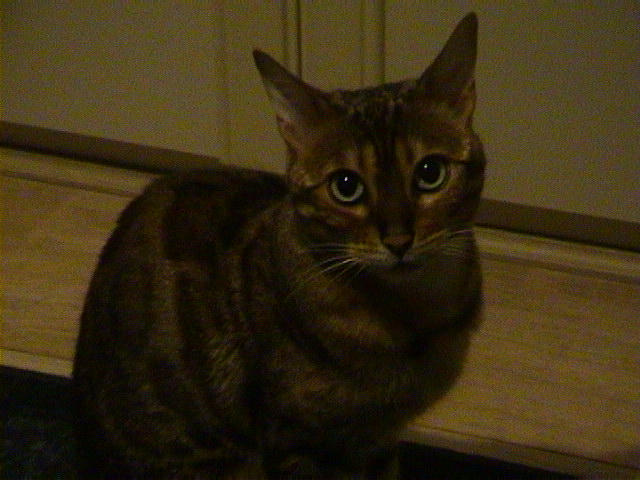 DSC00076