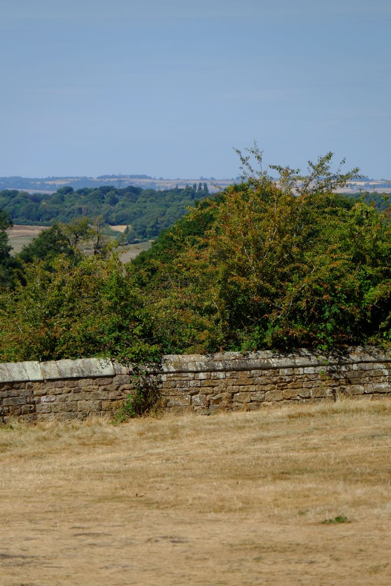 DSCF8542