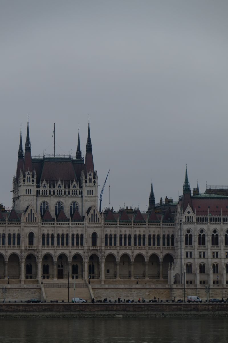 DSCF8129