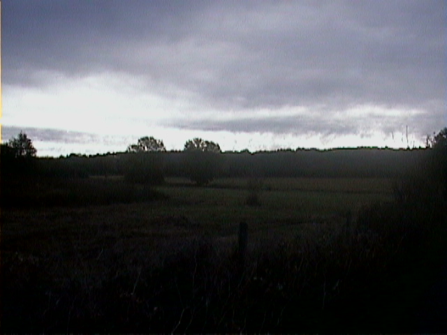 DSC00039